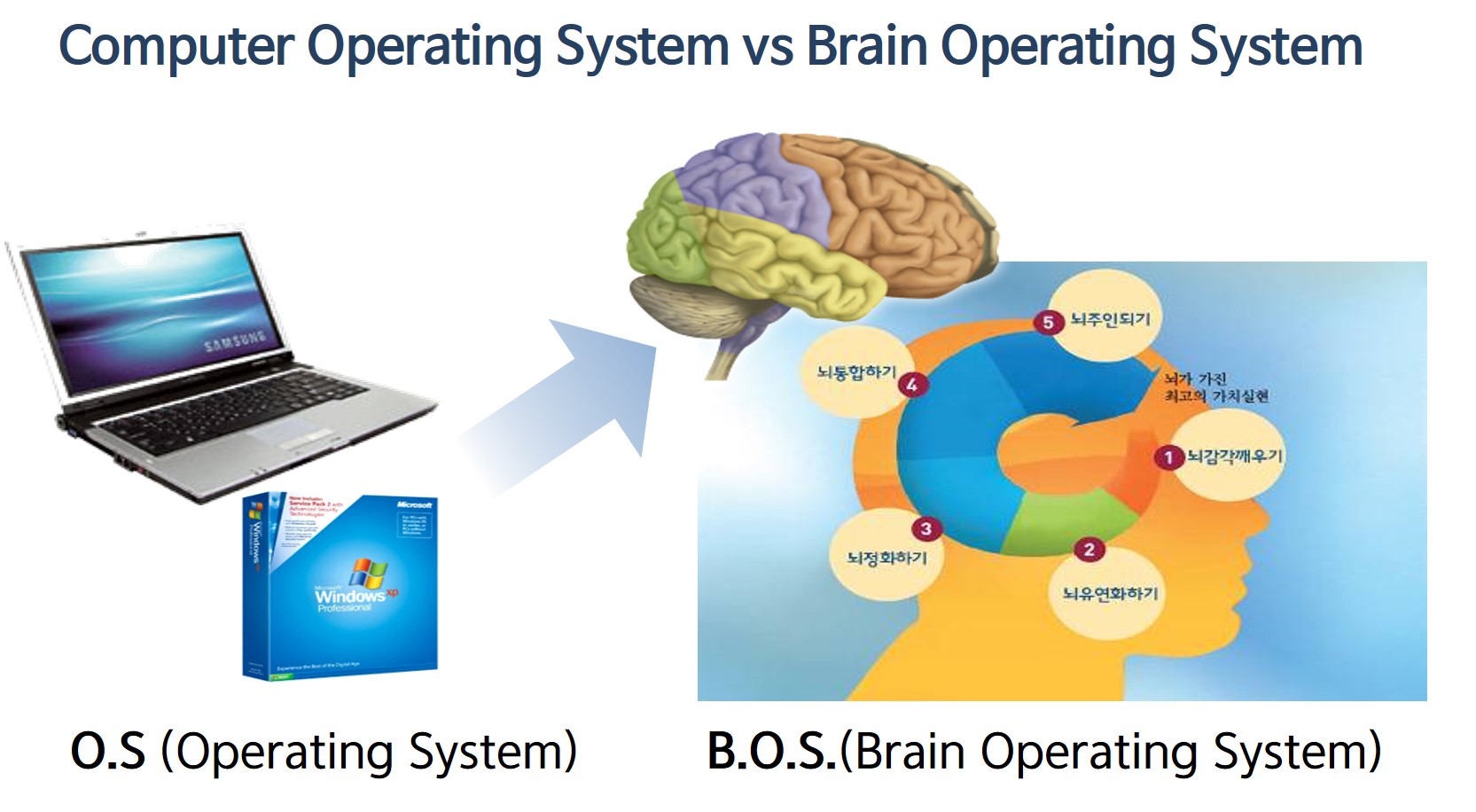 Brain Education Convergence