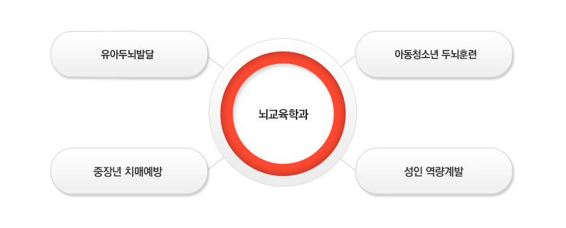 뇌교육학과-유아두뇌발달, 아동청소년 두뇌훈련, 중장년 치매예방, 성인 역량계발
